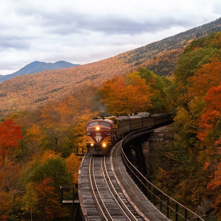 Train, wine travel